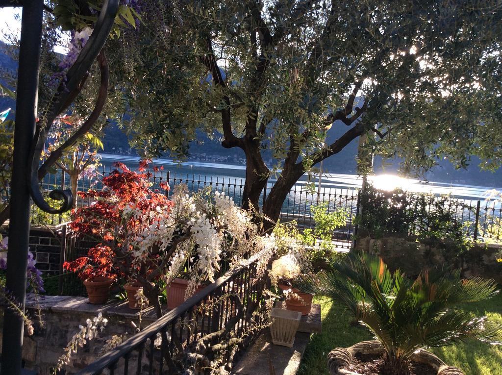B&B - Foresteria - Frontelago Lake Como Mandello del Lario Bagian luar foto
